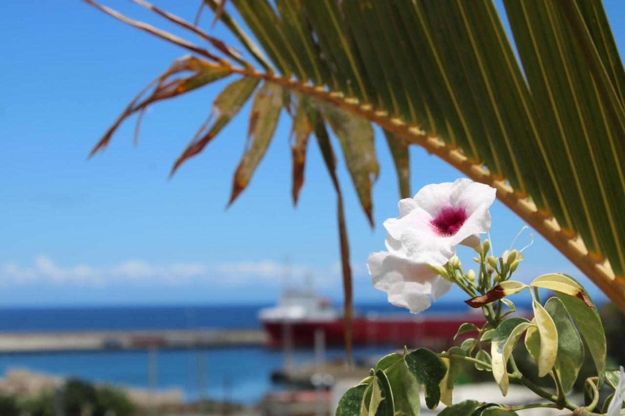 Apartament Terraza Del Atlantico, Un Oasis En La Ciudad Santa Cruz de Tenerife Zewnętrze zdjęcie