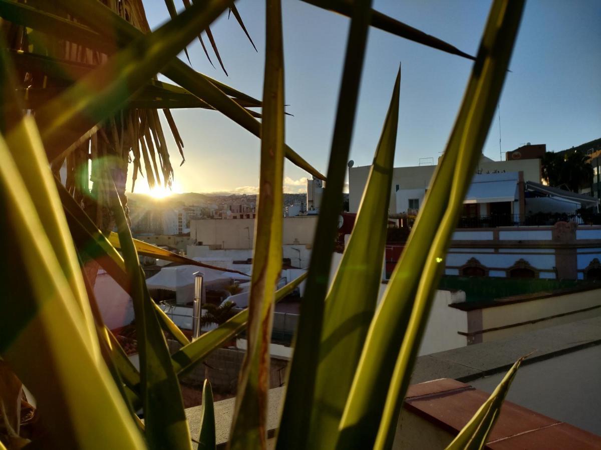 Apartament Terraza Del Atlantico, Un Oasis En La Ciudad Santa Cruz de Tenerife Zewnętrze zdjęcie